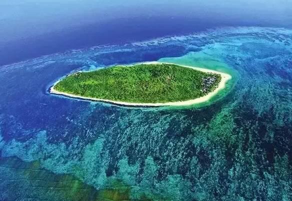 联合国:暂停资助近东救济工程处将给加沙居民造成灾难性后果